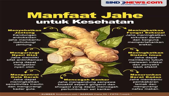 Bisa Meningkatkan Fungsi Seksual Manfaat Jahe untuk Pria